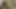 Natural brunette USA teen 18 y.o. masturbating her hairy pussy
