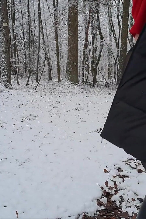 Wandel in De Sneeuw