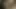 Desi Cusin sex