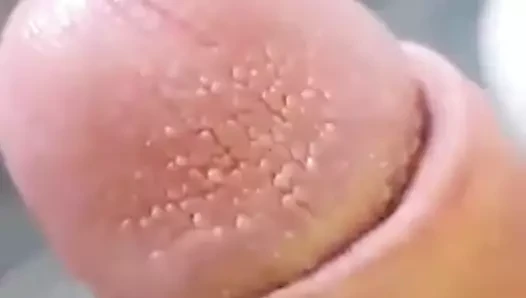 En mi casa