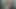 Mike Buffalari Gets his Dick suck