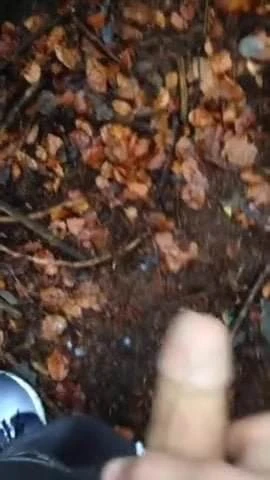 Im Wald abgespritzt