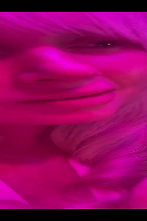 The Start of a Life Lesson Often Feels Good Stay Soft Like a Kitten