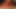 Grosser Schwanz