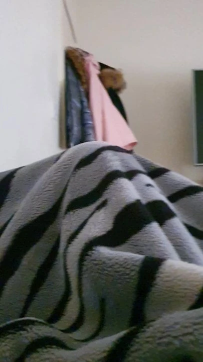 Morning fuck and blowjob