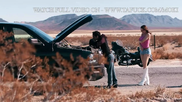 Lust In The Desert TransAngels