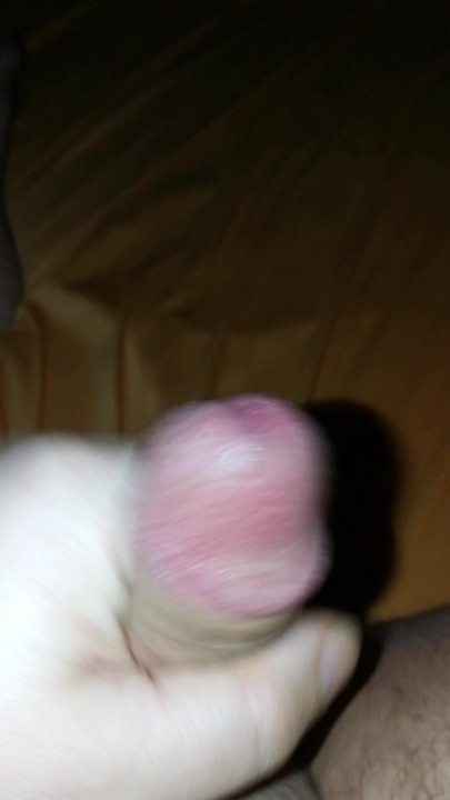 Ordenha 8