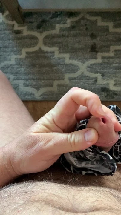 Afternoon jack off with wifes panties
