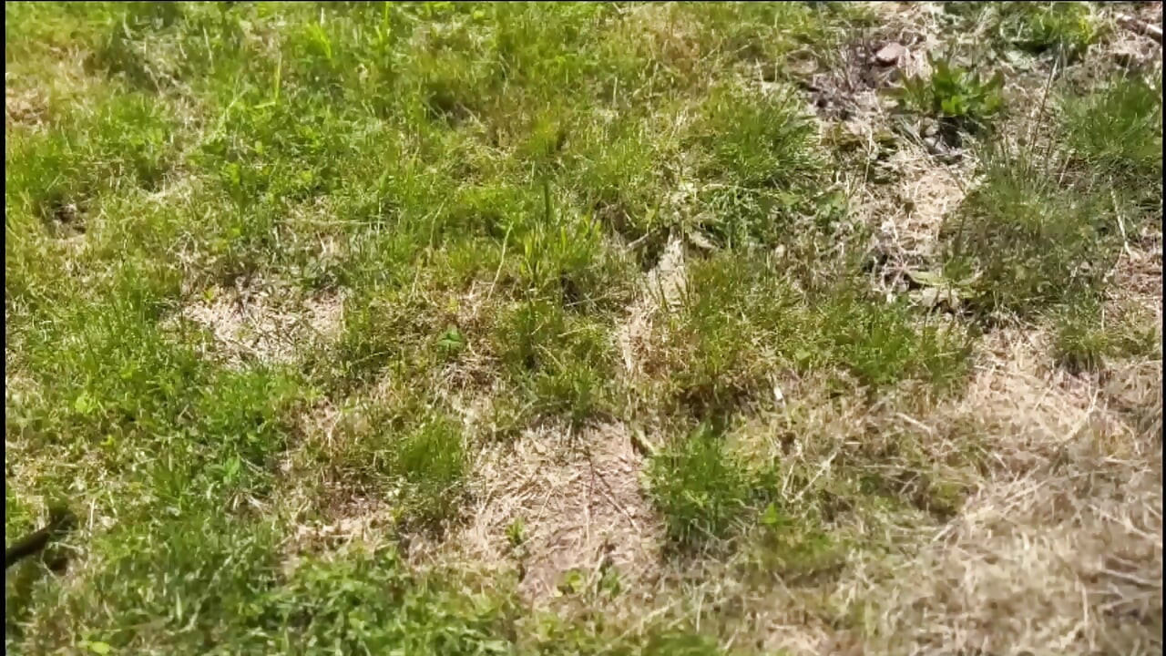 EPISODE 46: SURPRISE IN HER GARDEN