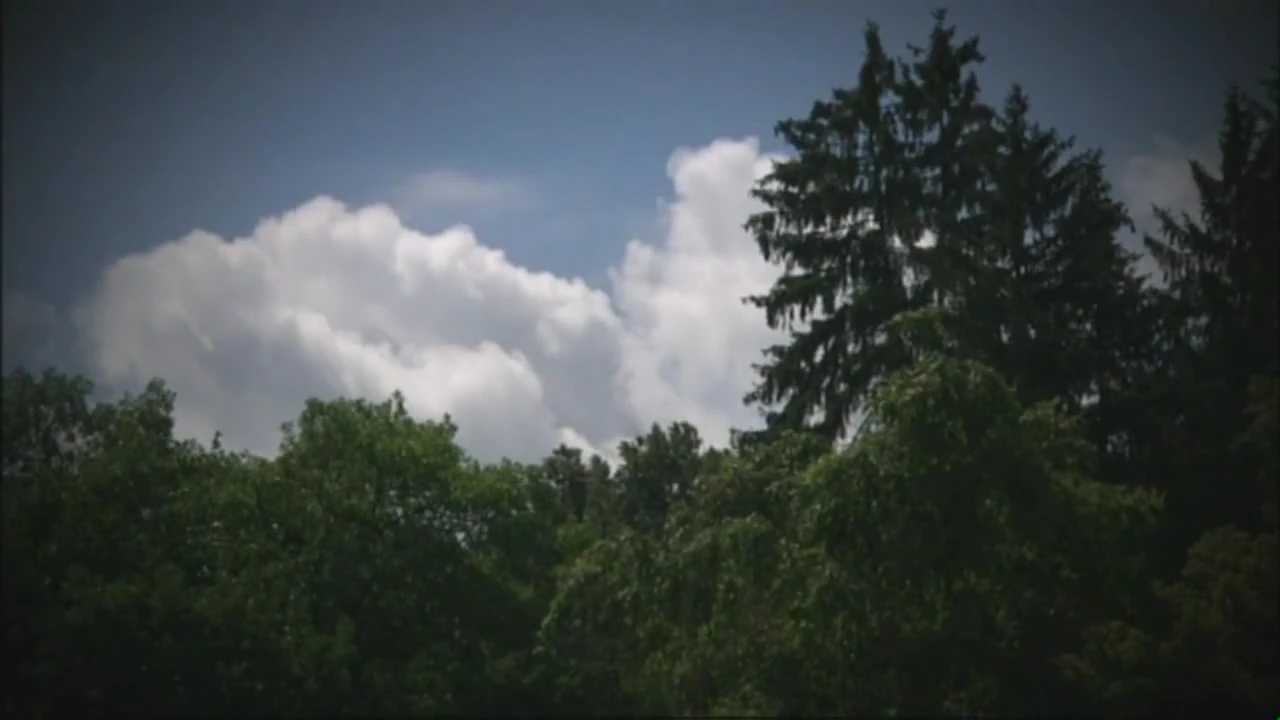 Die Rache Der Comtessa (Full Movie)