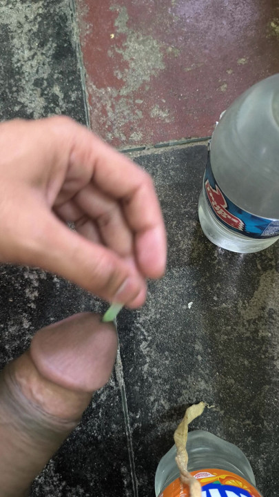 Distracție cu înregistrare de acasă