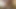 Latina chica trans give blowjob for her boyfriend and get played by dildo