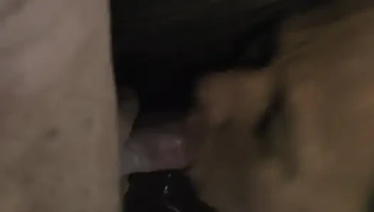 Orta yaşlı seksi kadın en iyi döl yutuyor ve boşalıyor