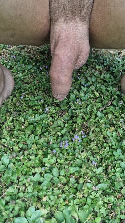 pee fun in the garden