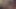 Oral Quickie