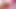 Cheating 1st Anal. Desi Big Ass Housewife Anal Fucking with Boyfriend Dick Hardcore Fucking Telugu Dirty Talks.