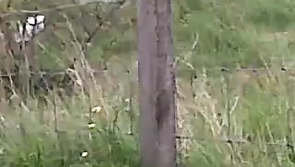 kamu mastürbasyon