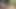 Liže veliki crni kurac, seksi milf puši u krupnom planu indijskog domaćeg tamilskog s Desi Bhabhi u X videima