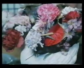 Adolescenti Vogliose (1986)