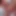 Nikki Benz ve Annika Albrite ile file lezbiyen amcık yalıyor