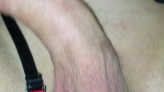 fuck toy riding Dady's cock