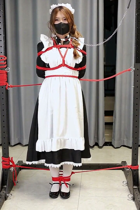 The Maid's Standing Restraints Merged with the Metal Bracket