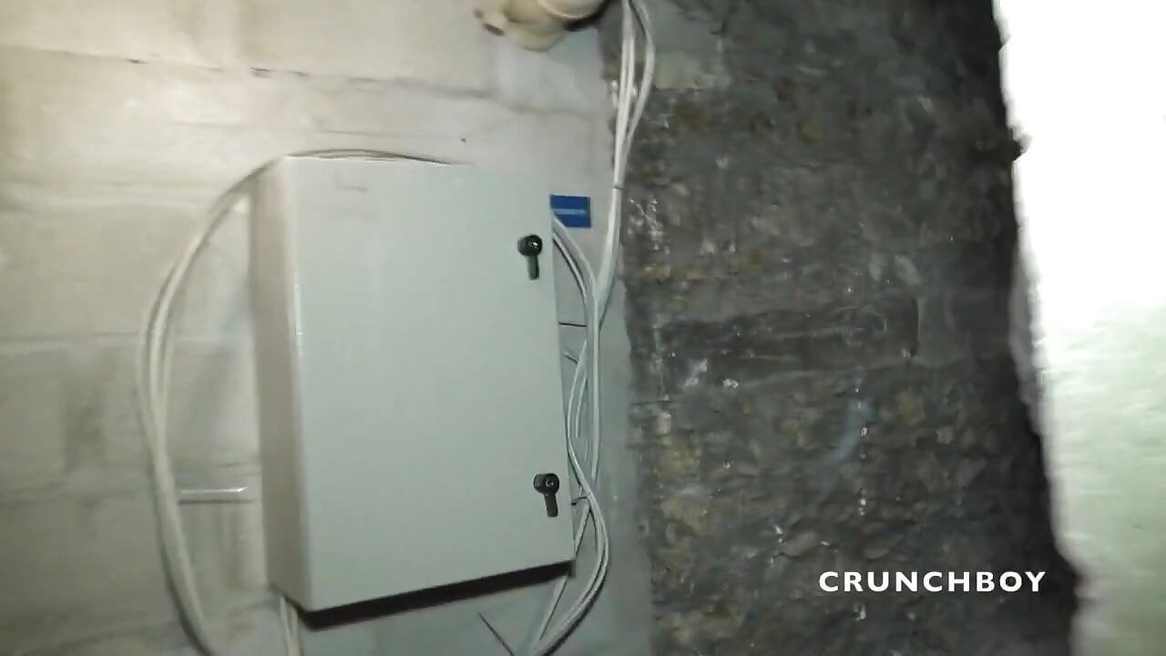 Sexy slut fucked raw by Alexis Tivoli in the basement