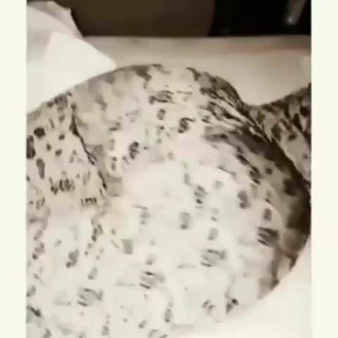 bbwfnasrin16