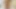Sexy Beautiful Big Tits and Big Cock Asian Ladyboy Kiwi Enjoys to fuck and get fucked