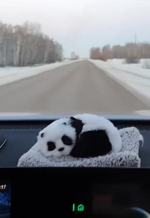 Winter Drive: Sex in the Car