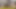 Büyük zenci yarağı ile sofie skye sikişiyor sofie skye ücretsiz teaser
