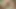 From behind close up. Cum on ass