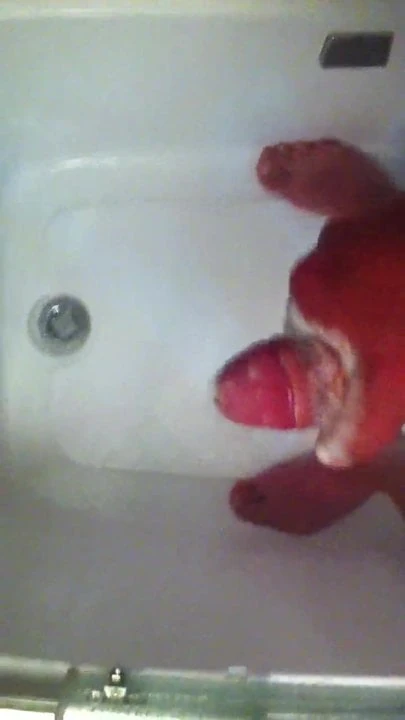petite rapide sous la couche