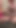 Trans kız ve eşi sana queer video yapıyor