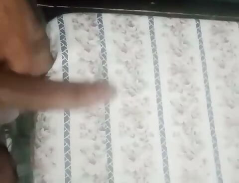 Булл с членом 7 дюймов