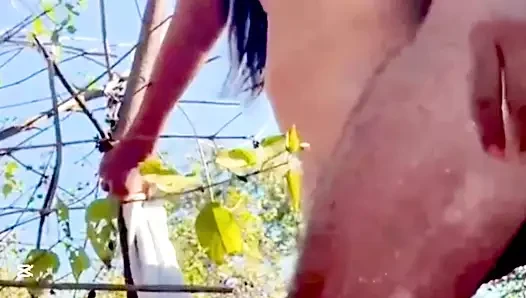 Clz yan nathuwa eha gedara akki ekka kale panala hodata hikawa