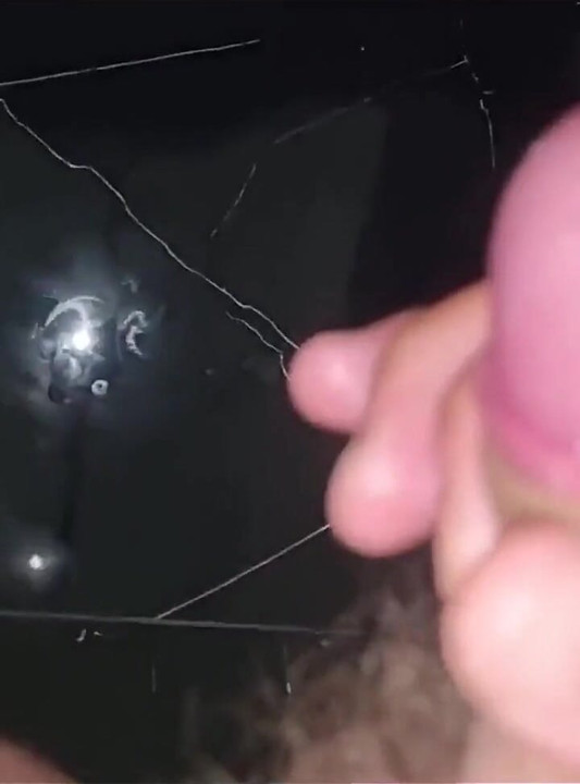 Nahaufnahme von riesigem schwanz