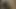 Pantat dan memek cewek sange ini dientot habis-habisan sama kontol besar