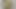Zentai banana penis thong photo shooting