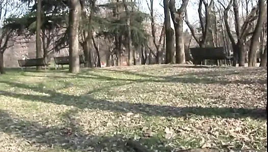 Großer schwanz lutscht im park