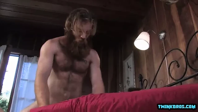 Bear assaut