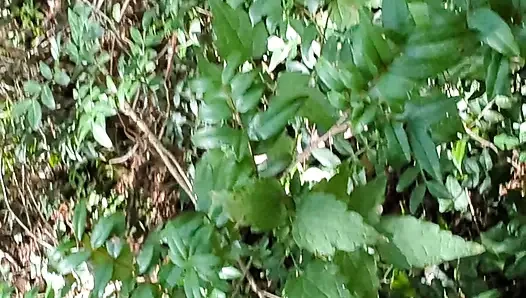 Amateur couple improvises a sudden fuck in the woods