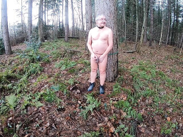 Dildo In The Wood 3