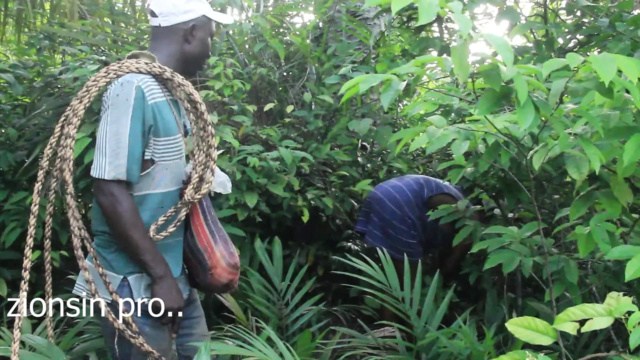 Lucky Farmer Caught This Two Fuck in His Farm and Decided to Fuck the Black Girl Too for Compensation