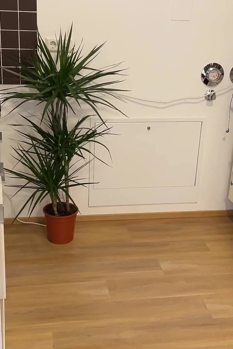 我的淫荡继母喜欢惊喜和我热辣的精液