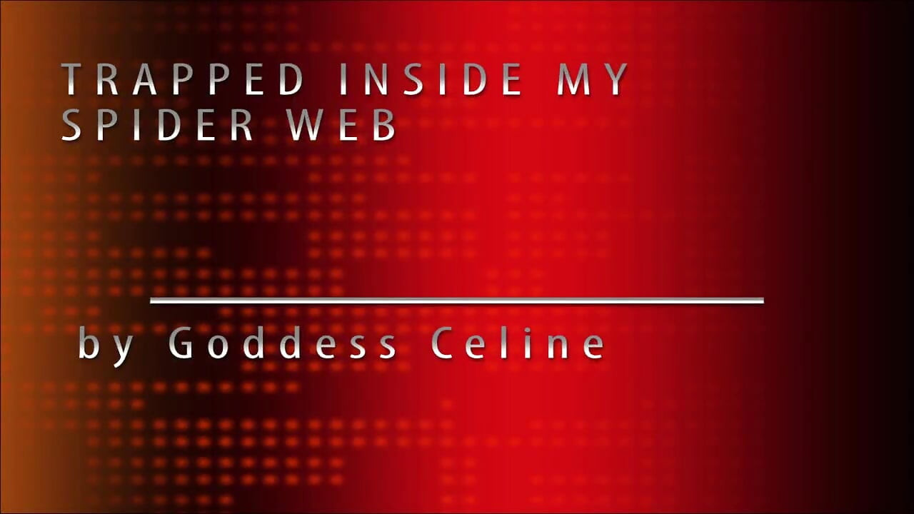 Trapped inside my spider web