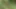Daddy Getting Fucked in the Forest