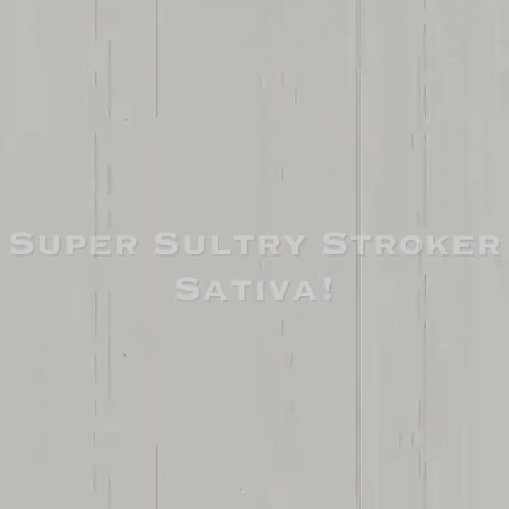 Super Sultry Stroker Sativa!