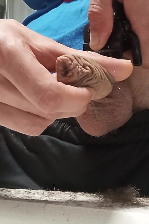 Big Flaccid Dick Is Filmed up Close While His Ball Hairs Are Shaved