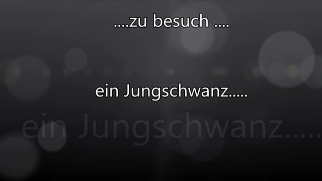 Jungschwanz zu Besuch!